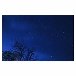 老头在妓女体内谢精子
