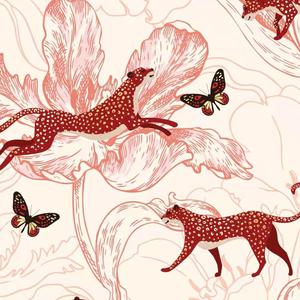 老头在妓女体内谢精子
