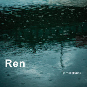 老头在妓女体内谢精子
